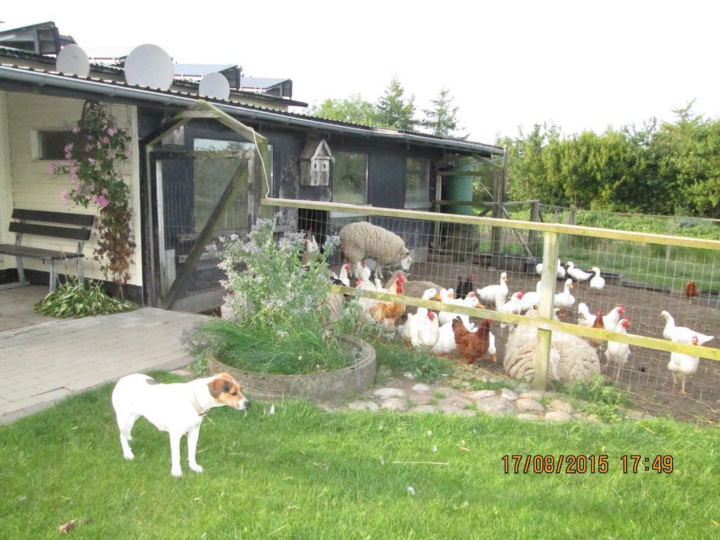 Bakkegarden Homestay Spottrup Exteriör bild
